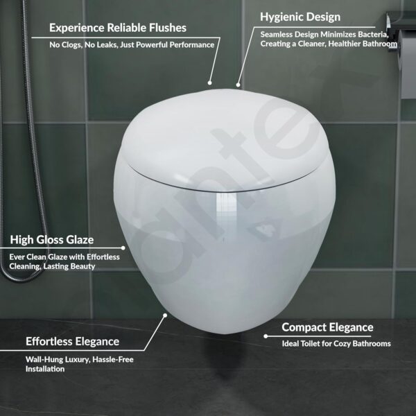 Plantex Ceramic Commode for Toilet/Rim Oval Shape Wall Hung Commode/Washdown Western Toilet with Soft Closing Toilet Seat (P-Trap, White) - Image 2
